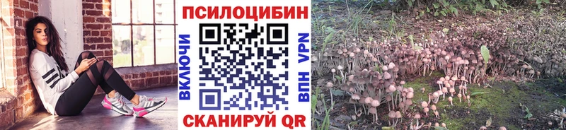 Галлюциногенные грибы мицелий  Бронницы 